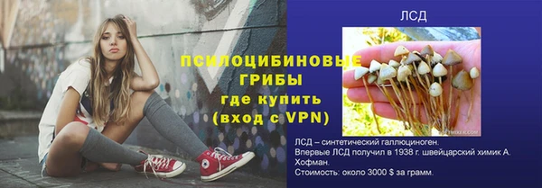 гидра Заволжск