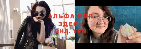 стафф Зерноград