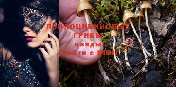 скорость Заволжье