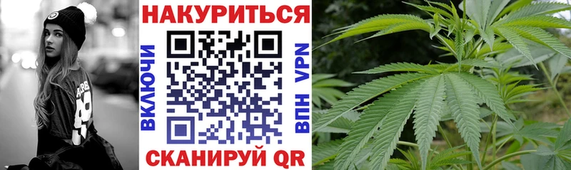 Марихуана план  Купить где  Чухлома 